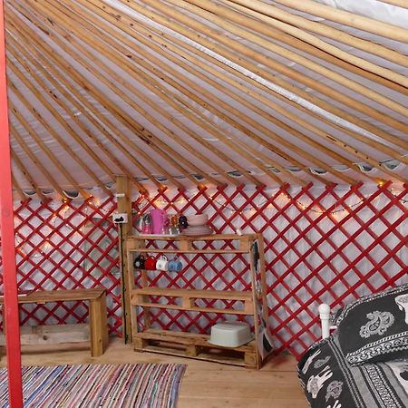 Отель Alder Yurt Wych Elm Glamping Хелстон Экстерьер фото