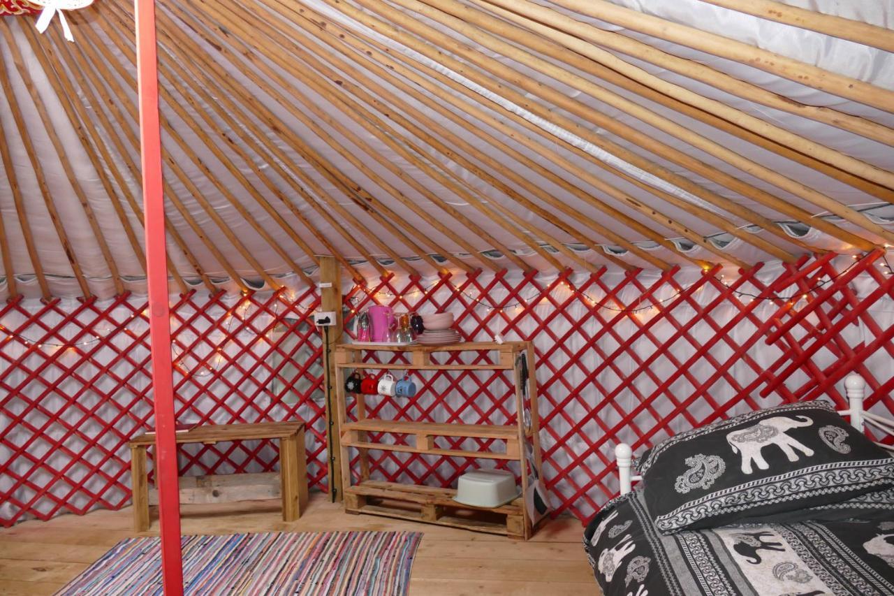 Отель Alder Yurt Wych Elm Glamping Хелстон Экстерьер фото