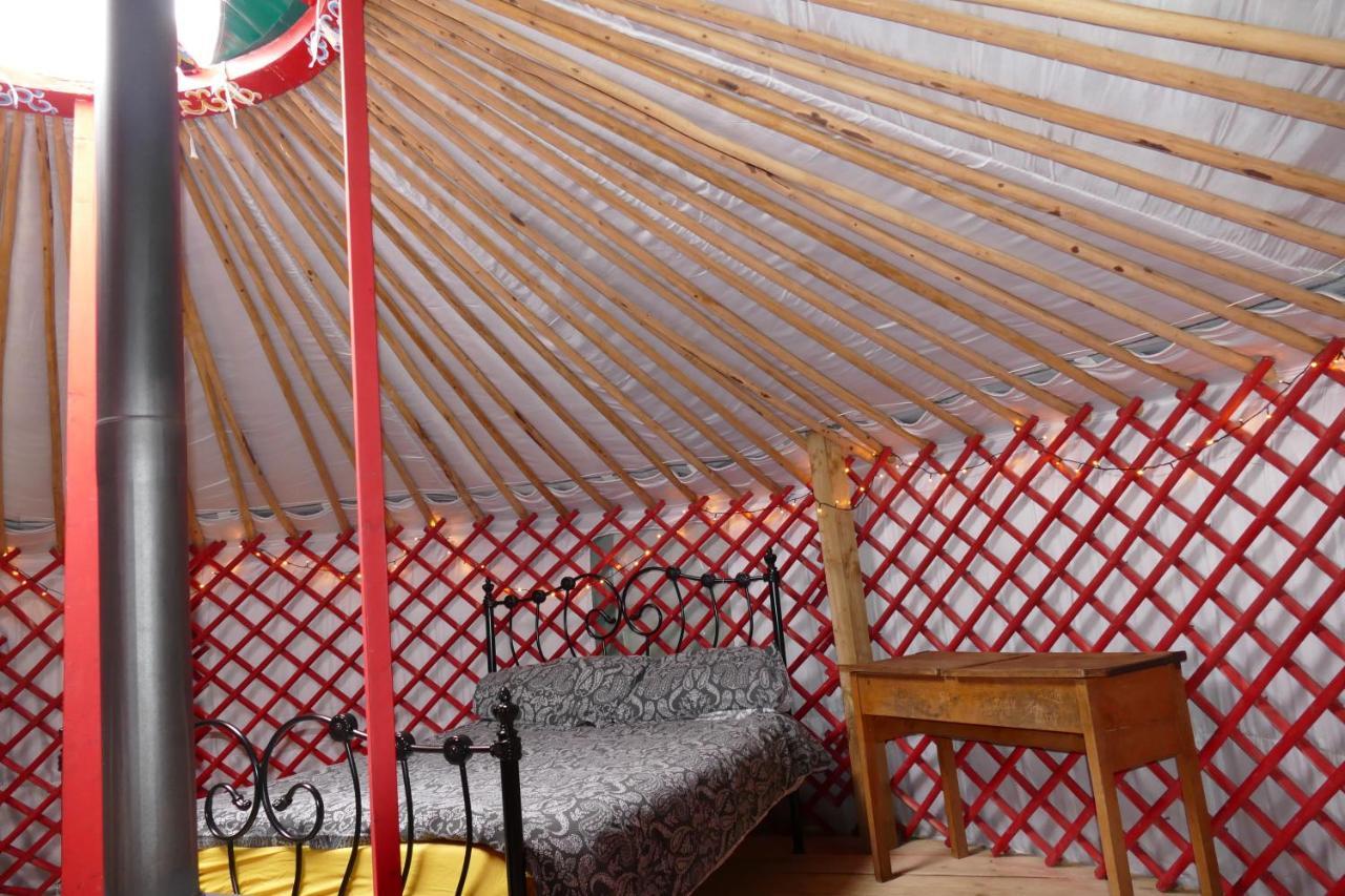 Отель Alder Yurt Wych Elm Glamping Хелстон Экстерьер фото